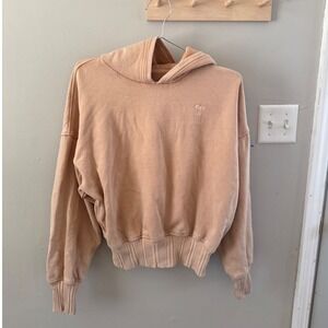 Aerie begie cropped hoodie